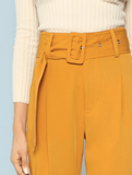 BELTED BEAUTY ANKLE PANTS - B ANN'S BOUTIQUE